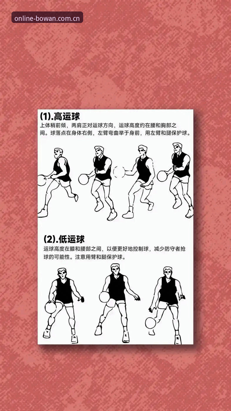 博万体育app必备 博万体育app必备实用技巧:从新手到高手的完整操作指南